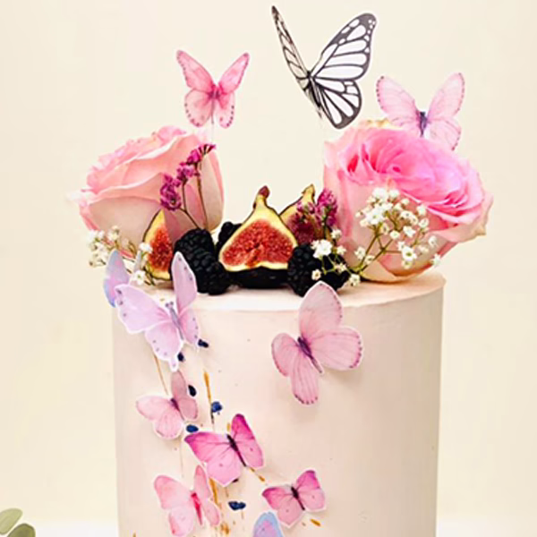 Alternative view of 1-Tier Tall Butterfly Themed Cake