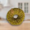 Pistachio Donut