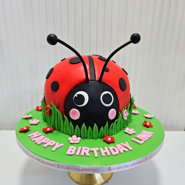3D Ladybird Cake