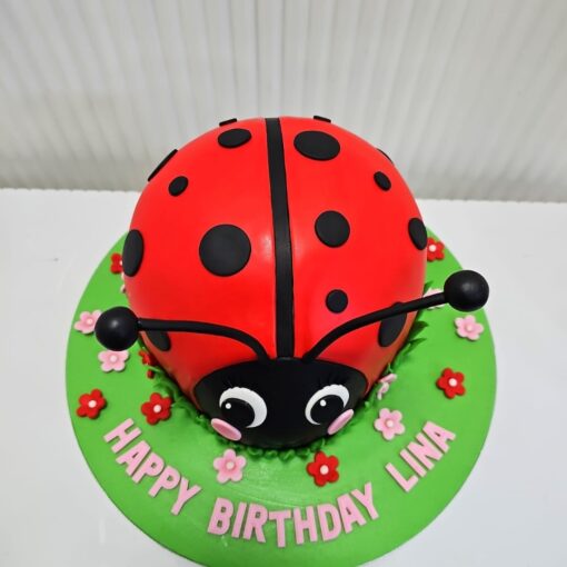 Alternative view of 3D Ladybird Cake